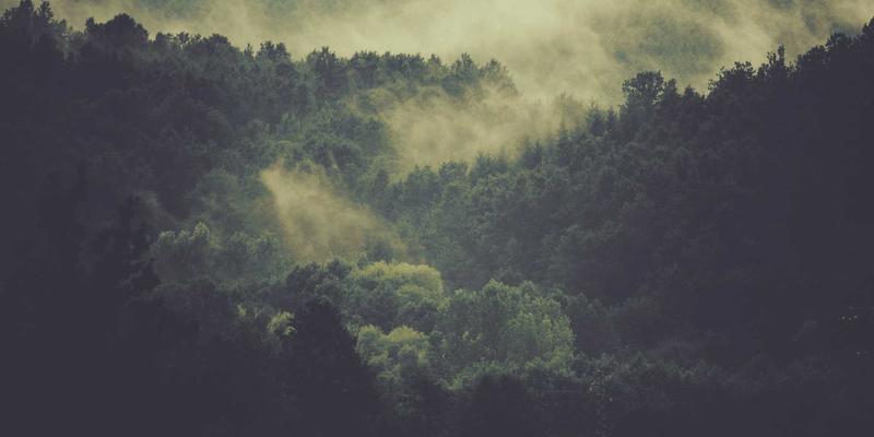 5G专网核心利器：深度解析网络切片技术的商业场景与实战开发