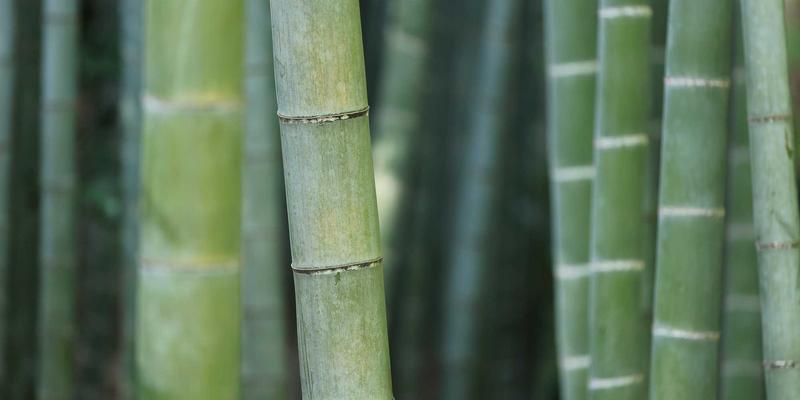 eBPF内核革命：无需修改代码，如何实现网络监控与安全策略的无侵入式编程