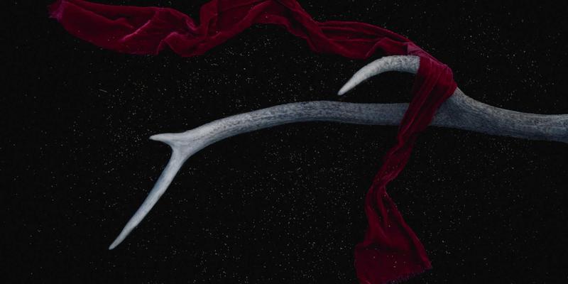 告别深夜割接!基于容器与CI/CD的网络自动化测试框架构建全指南