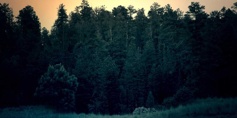 智能运维革命：Ansible与Python脚本如何重塑企业网络管理