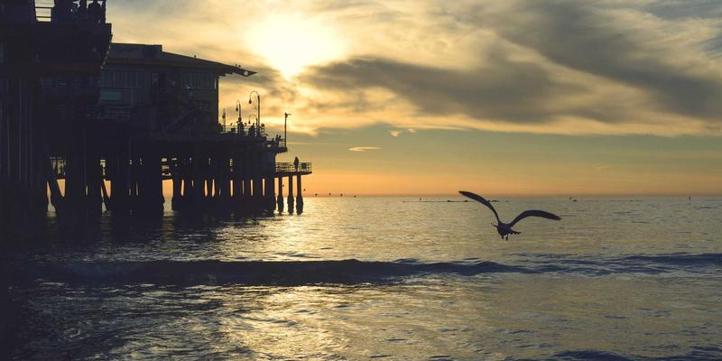 网络即代码：用IaC理念重塑网络管理与自动化部署的未来