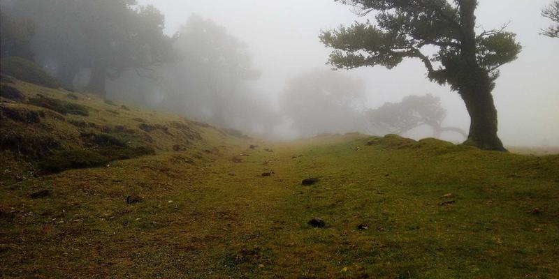 边缘计算与云计算:从资源分享到网络技术革命,IT工具的协同进化