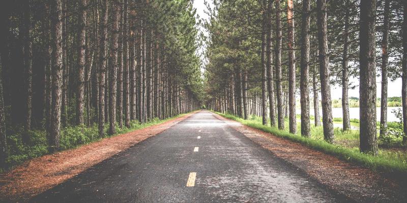 边缘计算与网络技术融合:如何利用编程与数字资源打造低延迟、高效率的未来网络