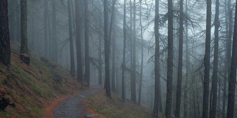 零信任架构实战指南:从理论到落地的网络安全革命